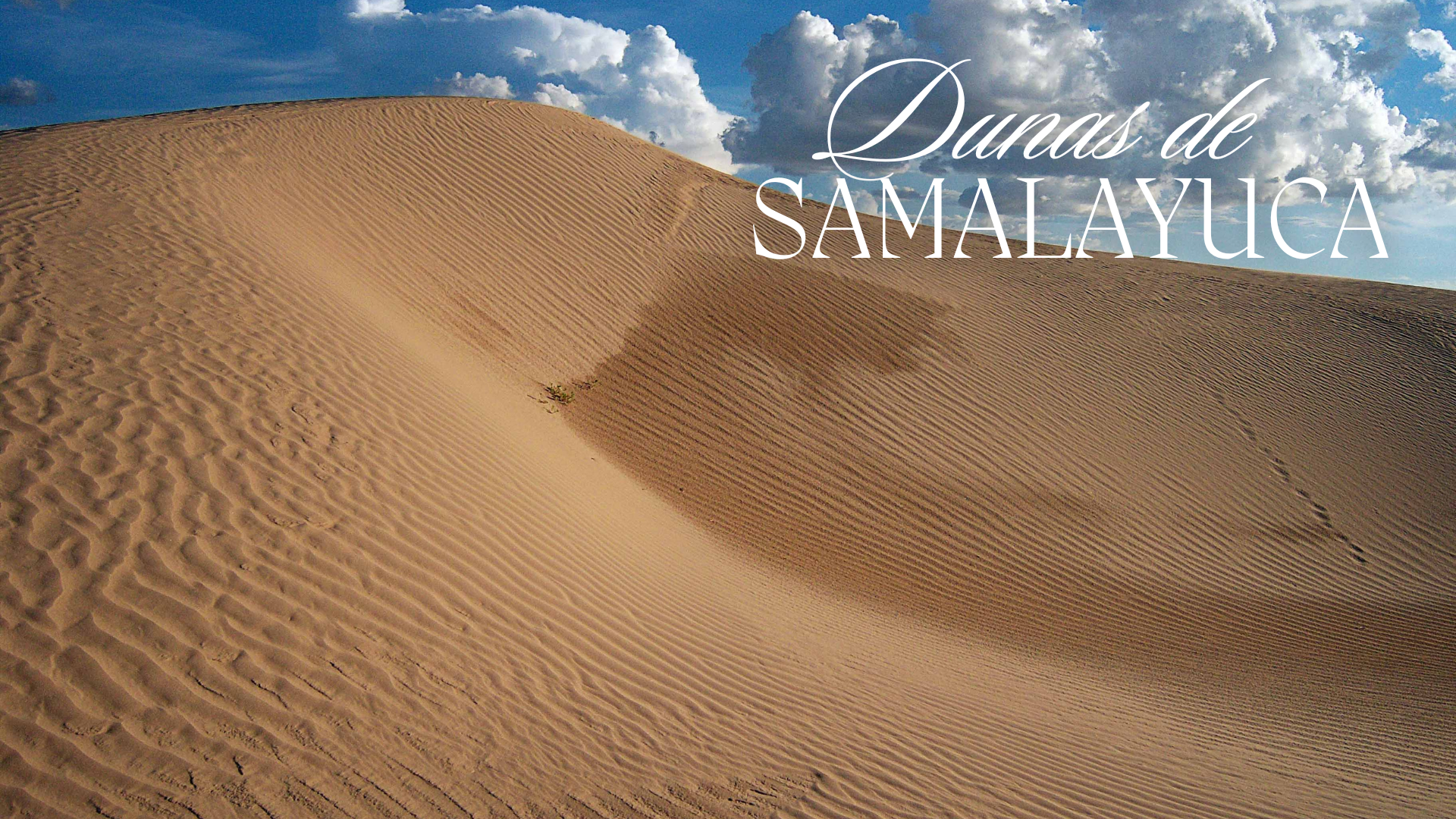 Dunas de Samalayuca